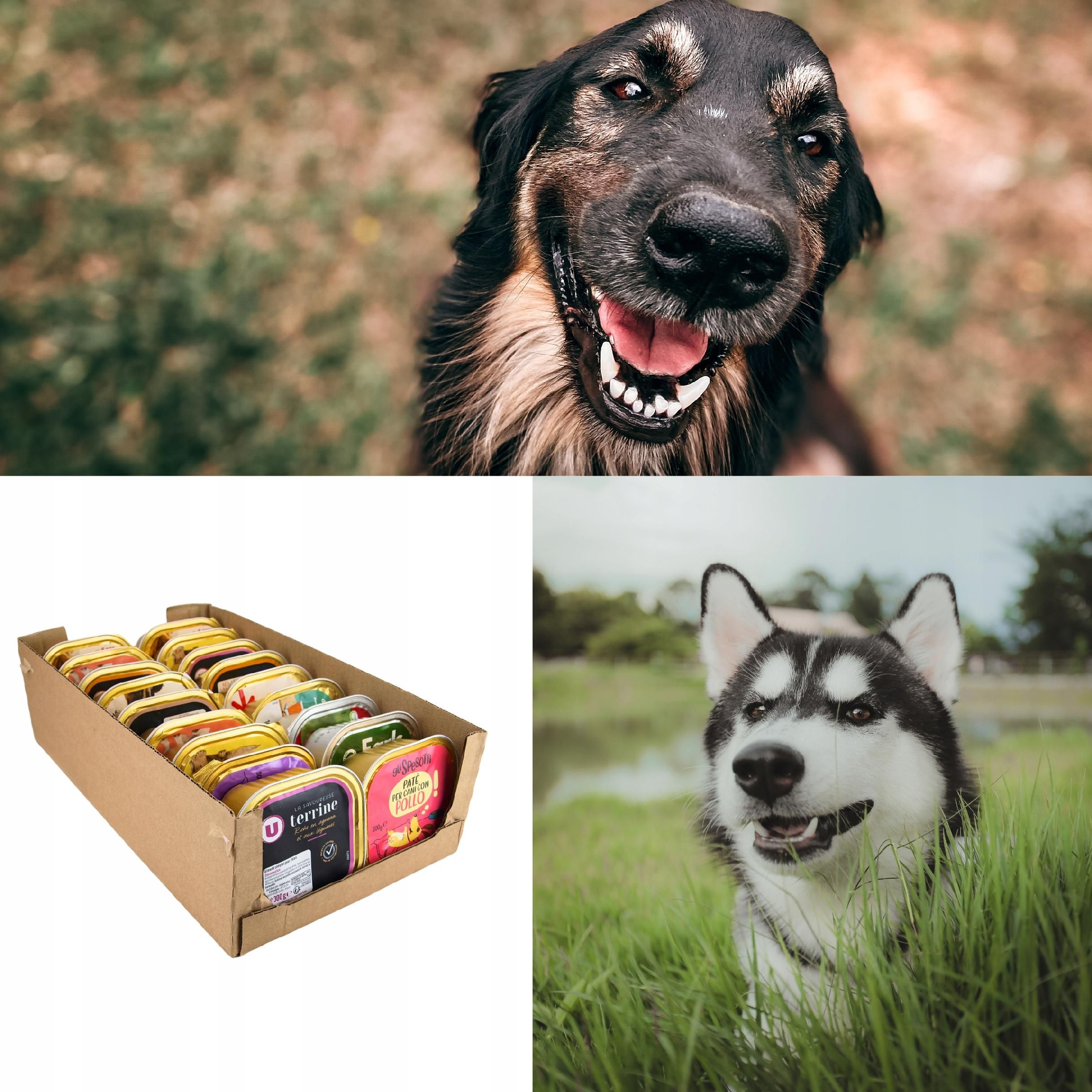 Karma Mokra dla Psa Zestaw Mieszany 36 Tack 300g - Mix Smaków