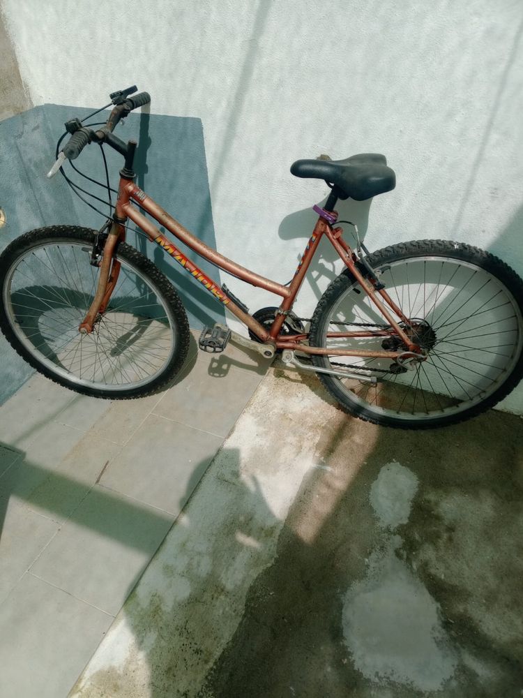 Bicicleta senhora