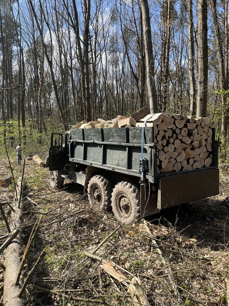 Дрова любих порід 1000грн