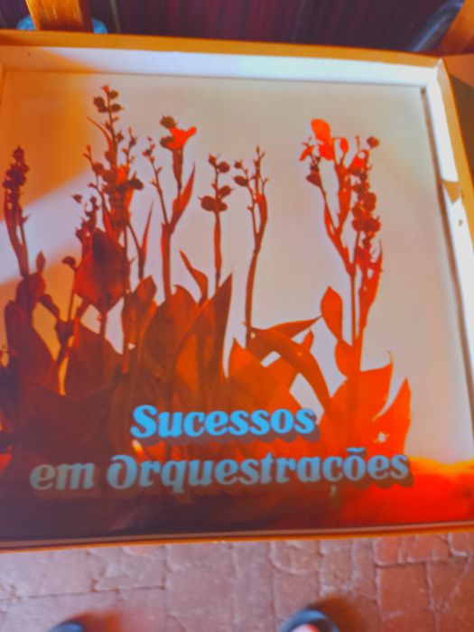 Vendo LPs caixa original anos quarenta - cinquenta... sessenta e seten