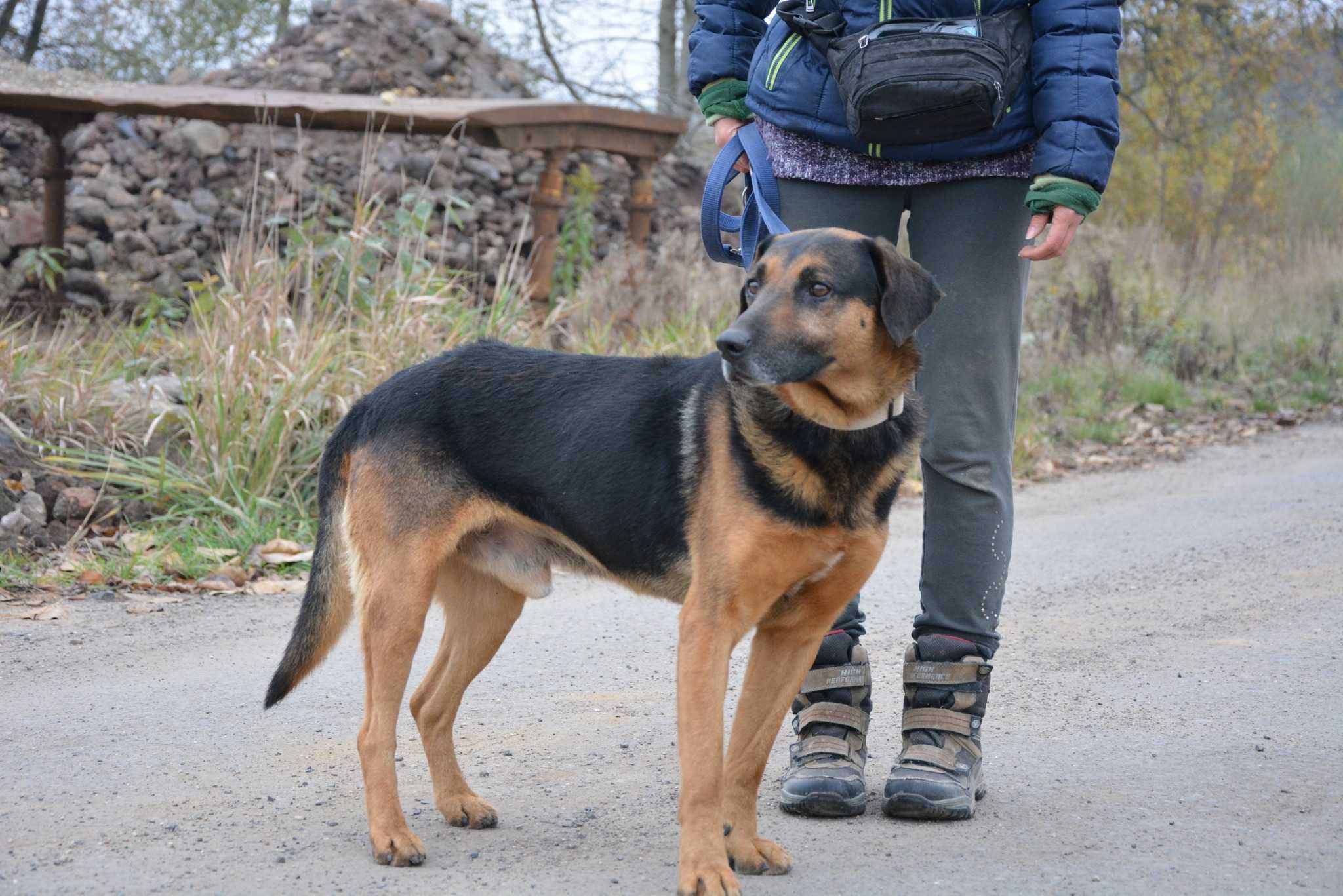 Szefuńcio pragnie stać się kimś ważnym w czyimś życiu