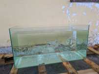 Akwarium ok 100l 80x35x35