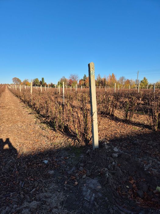 Słupki betonowe używane