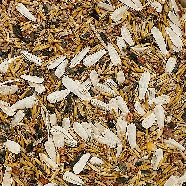 5kg Karma zimowa dla ptaków zimujących podstawowa mix ziarno słoneczni