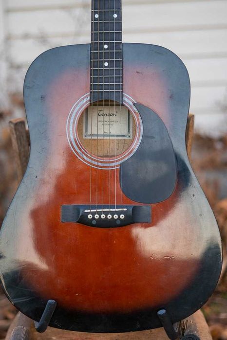 Tenson D1 Дренаут - акустична гітара