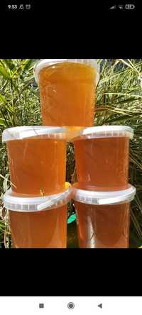 Продам квітковий мед( садки+ріпак)