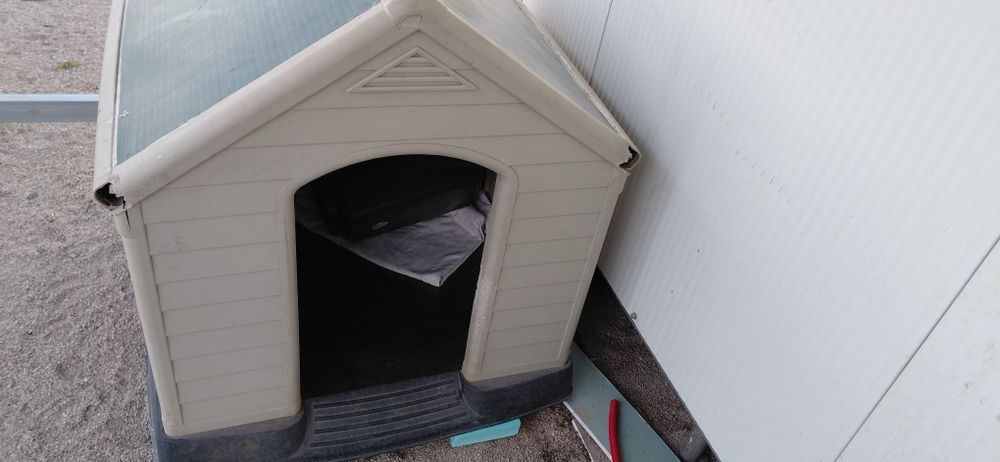 Casa para cão tamanho grande