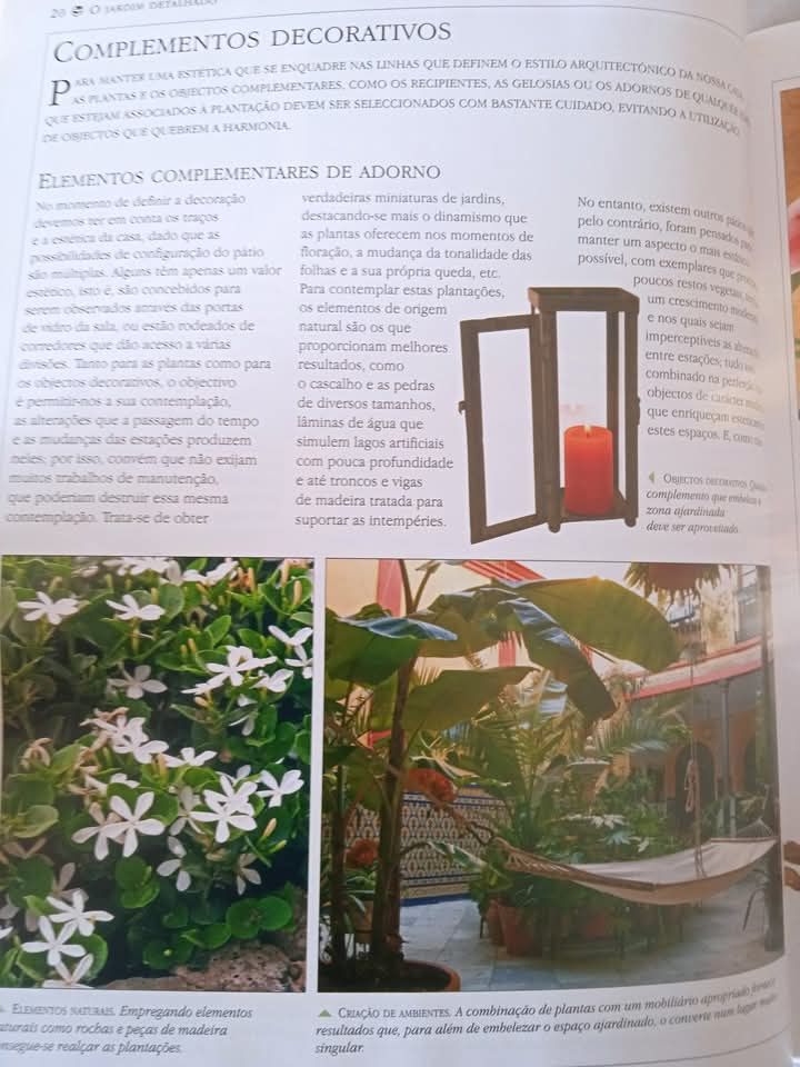 Plantas para Pátios