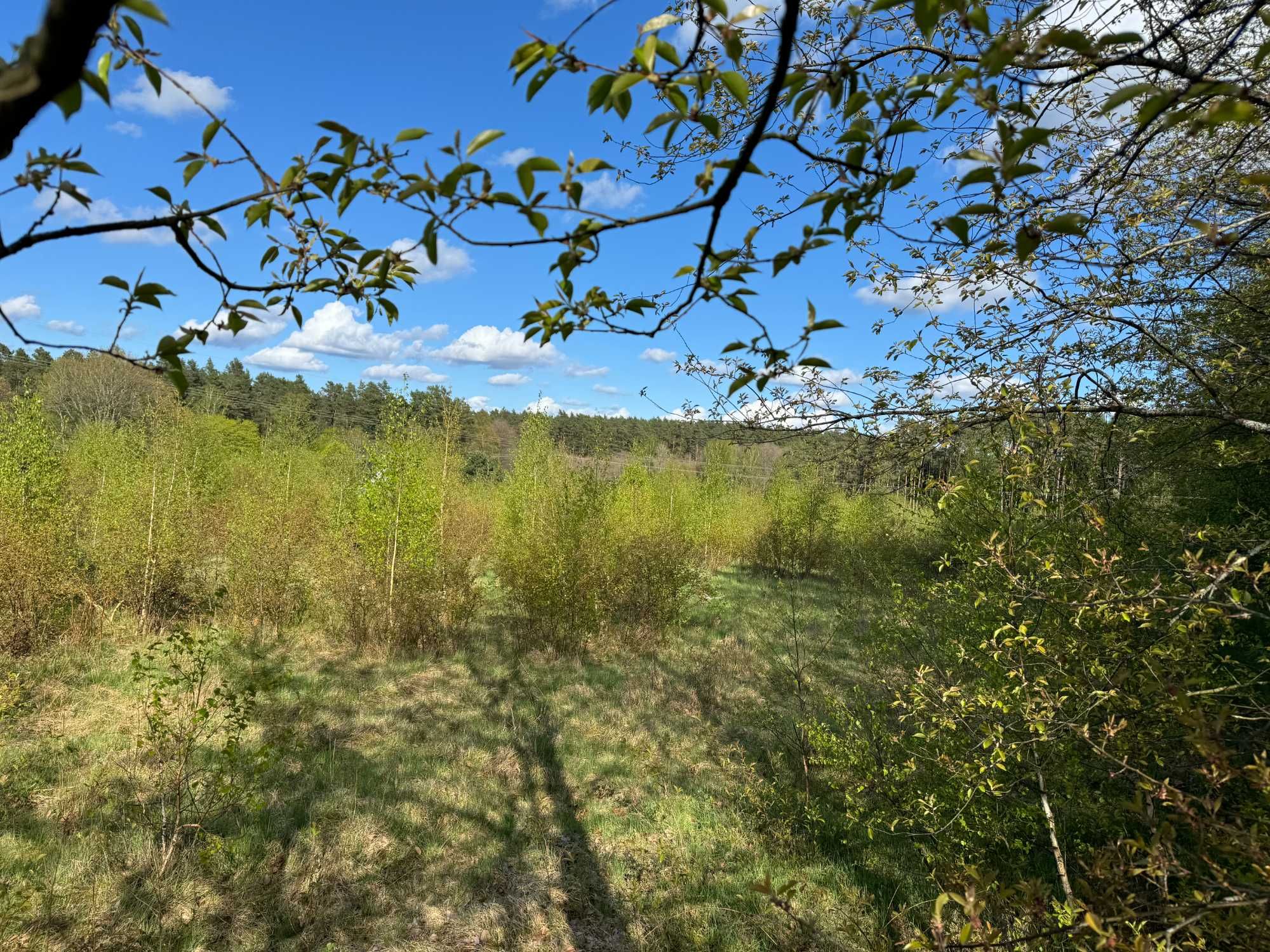 Sprzedam działkę 15km od Koszalina