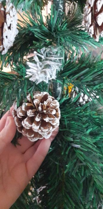 Przepiękna choinka na pniu jak żywa,gęsta,zielona,oszroniona,szyszki.