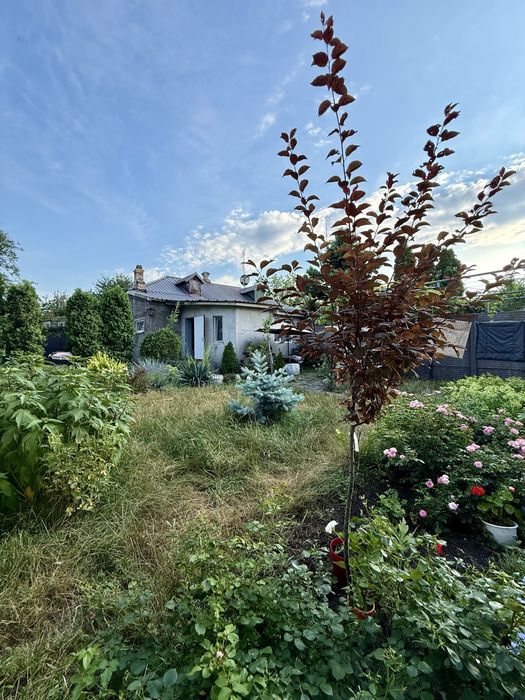 Продам Дом Центр