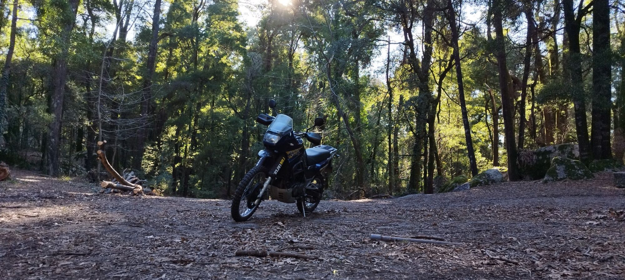 Kawasaki KLE 500