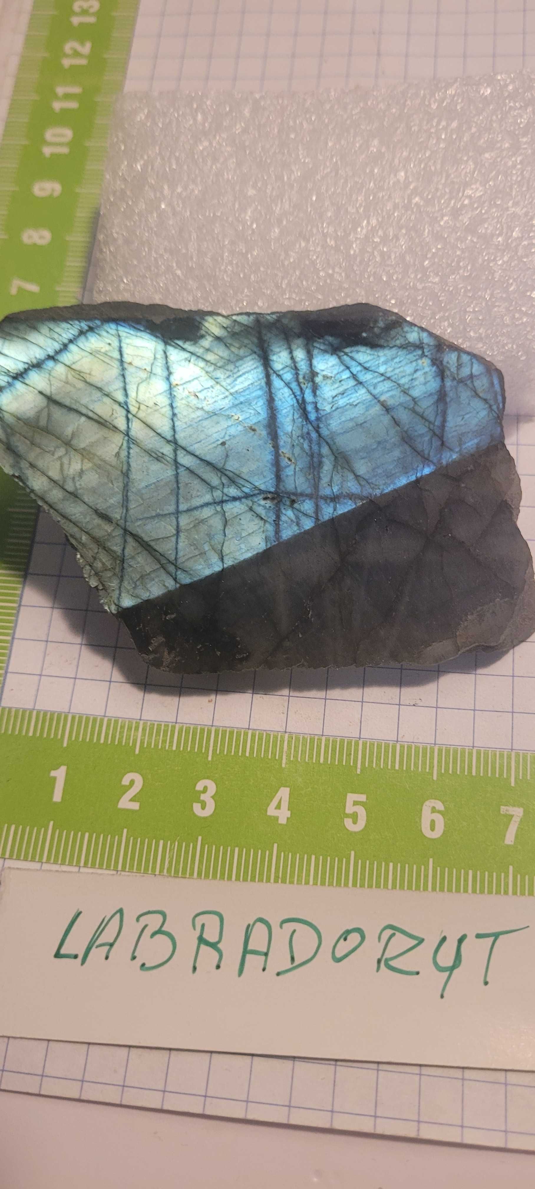Minerały skamieliny