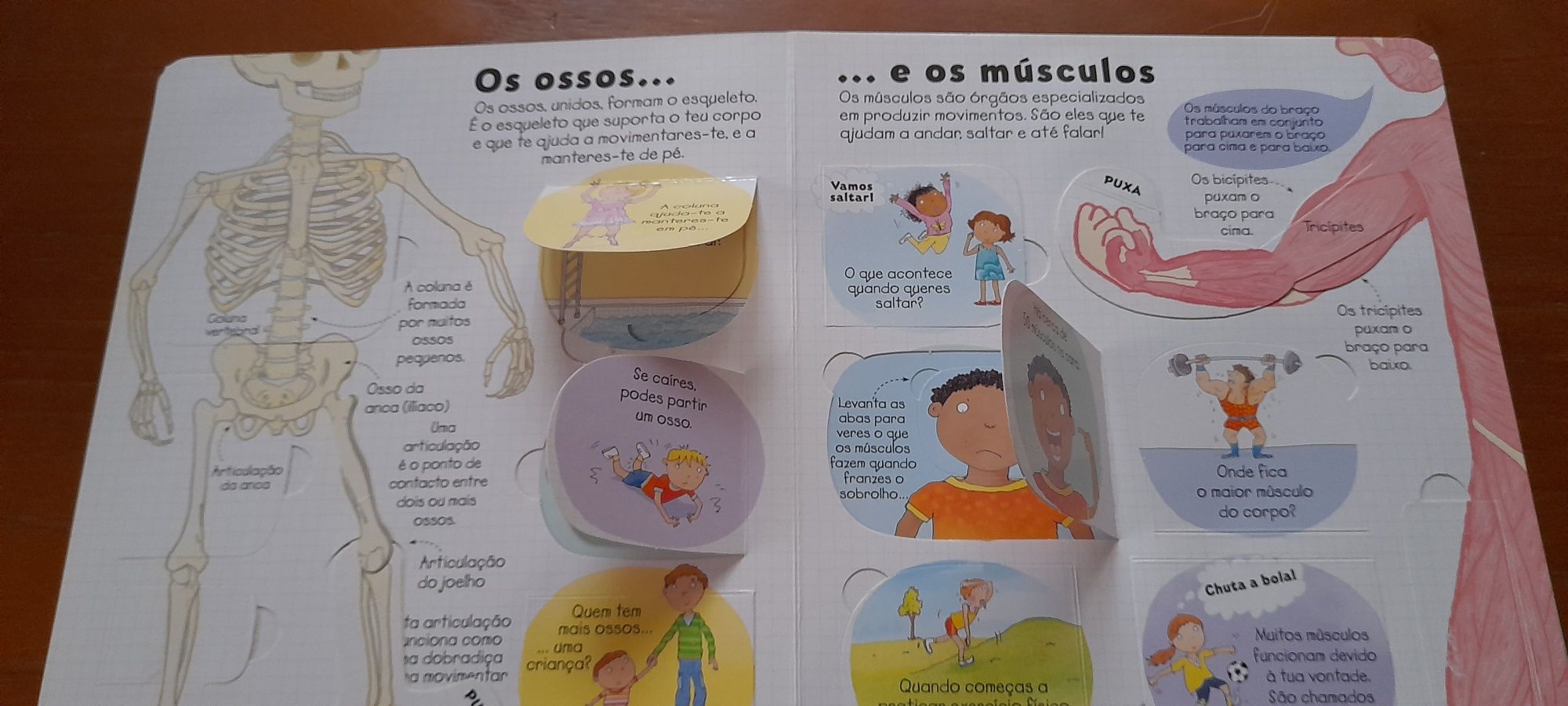 Livro "Descobre o Corpo Humano"