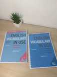 English grammar, vocabulary in use.
