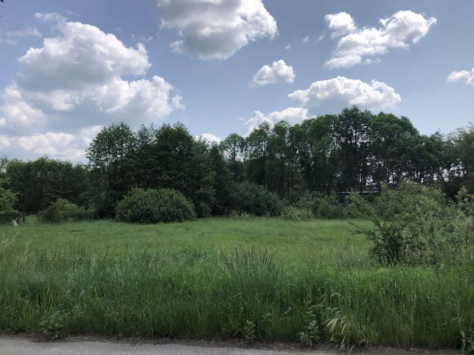 Продається ділянка під забудову в с. Новоселиця