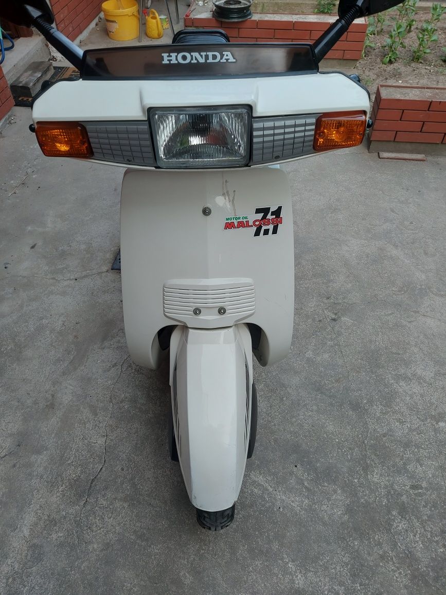 Honda lead 50 cm