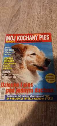 Mój kochany pies kieszonkowa gazetka 10/2010