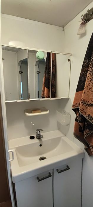 Domek holenderski 800×300