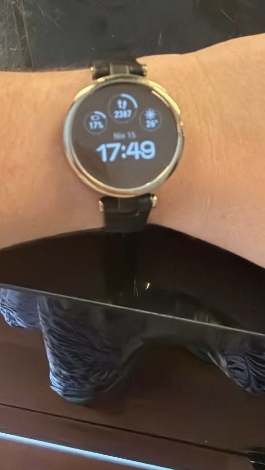 Garmin lily smartwatch gwarancja paragon
