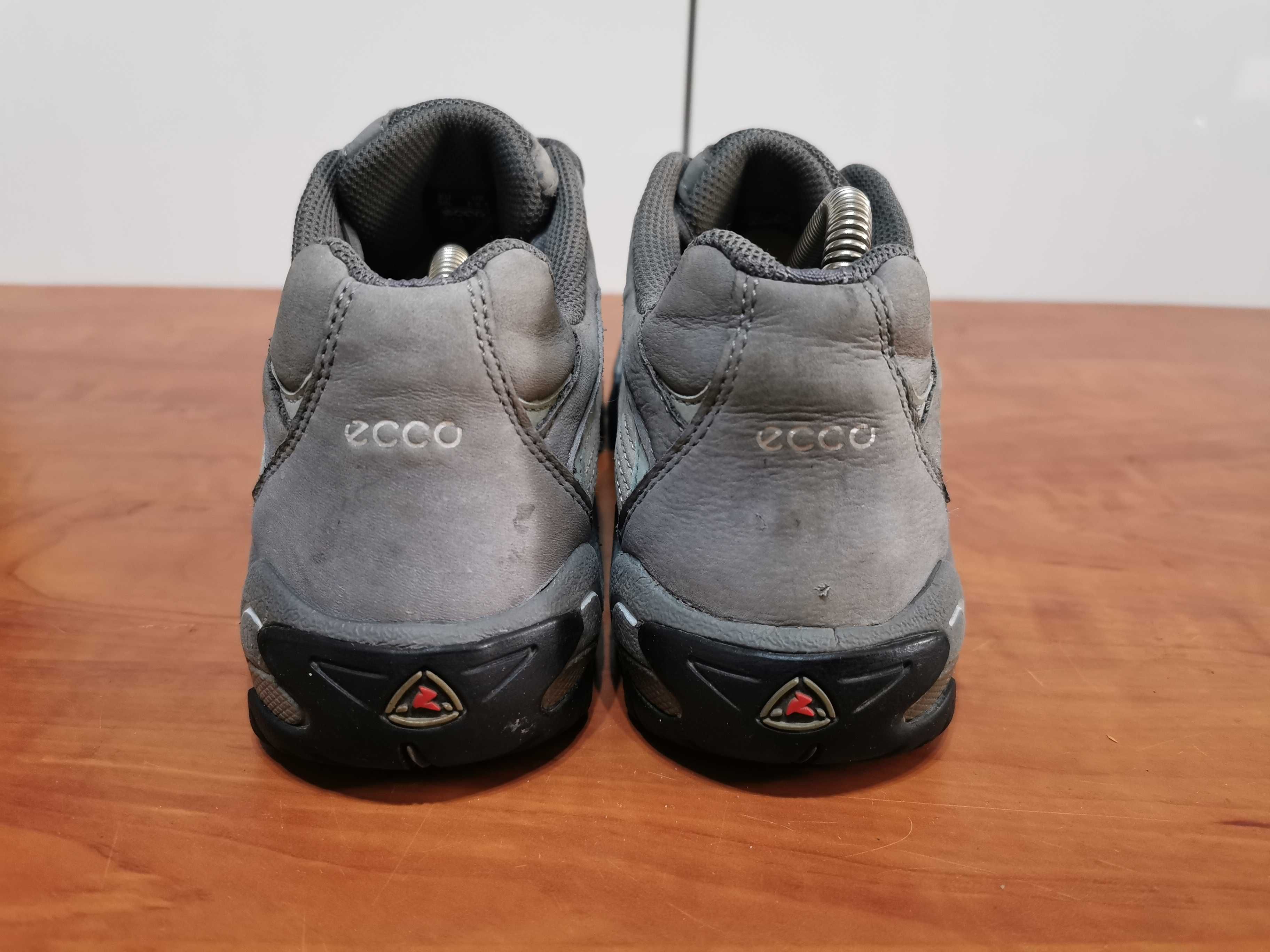 Ecco -receptor Technology - r. 39/26 cm