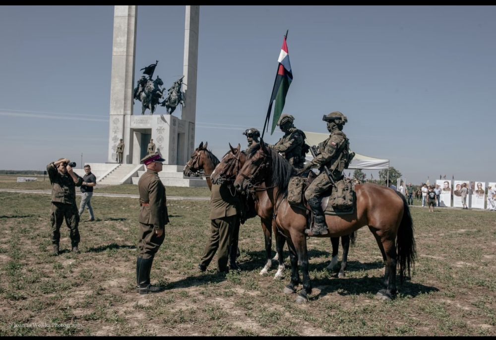 Dorita - piekna klacz w typie slazkim na sprzedaż