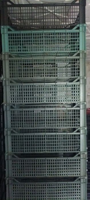 Продам ящики різних розмірів