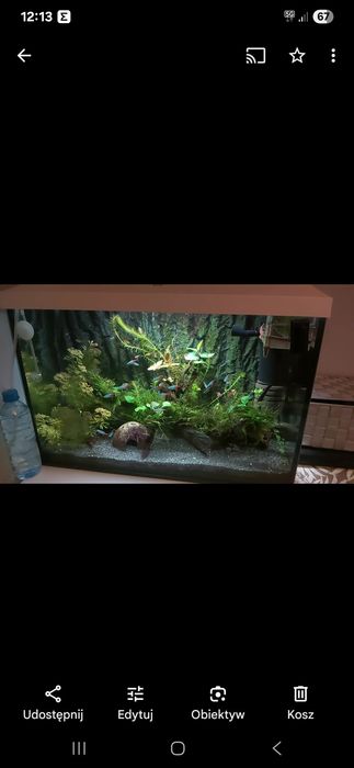 Akwarium Zestaw aquel day and night 72l