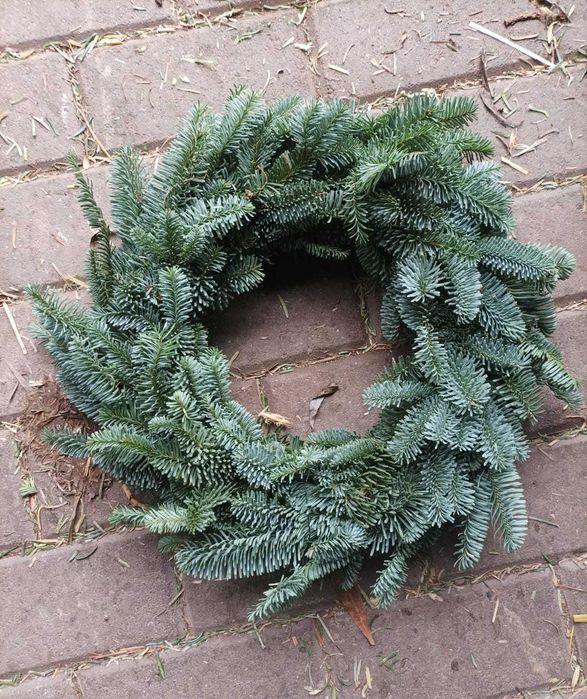 Choinka! Choinki! Ładne, gęste jodły i świerki z dostawą pod dom!