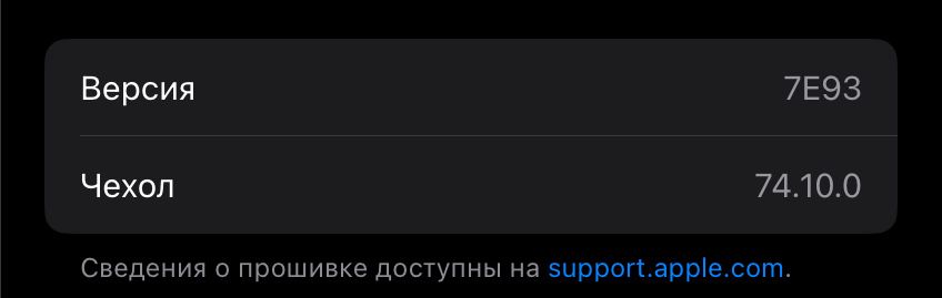 Airpods Pro 2 Type-C ( D02YFXCFP1 )+ кейс