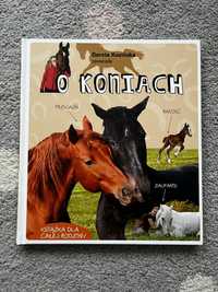 Dorora Kozińska opowiada o koniach