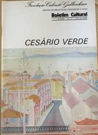 Boletim cultural VI Série- n. 7 (julho 1986)