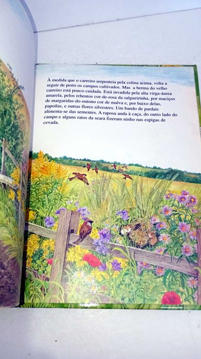 Livros da Coleção - O Mundo em Mudança