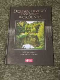 Drzewa, krzewy i wszystkie inne rośliny wokół nas