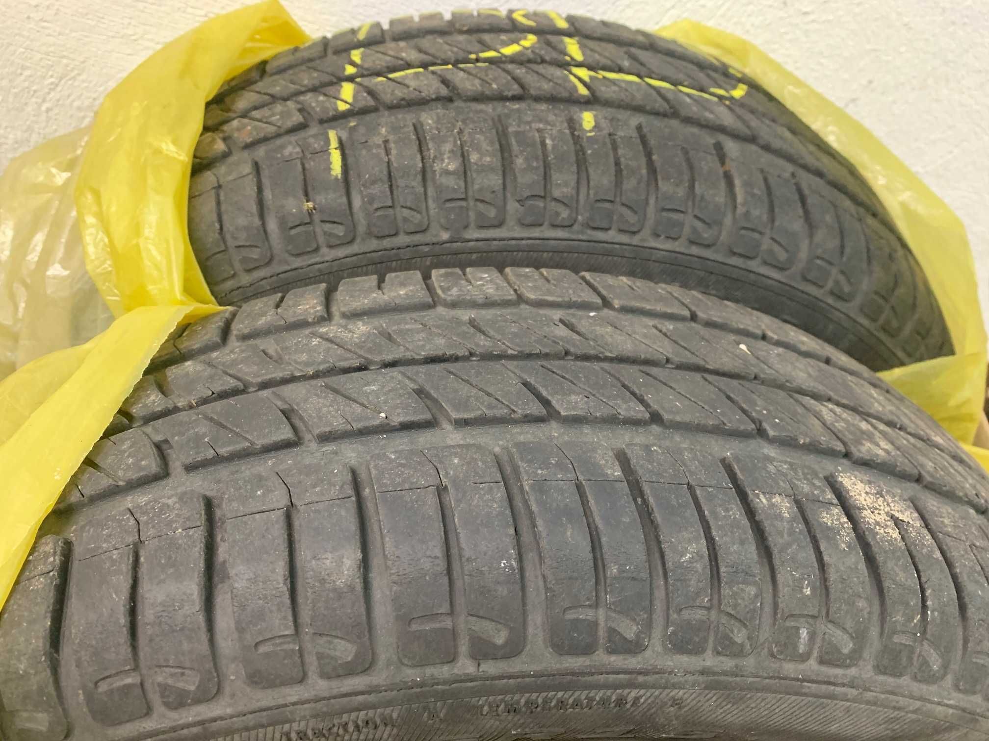 Opony letnie Dębica Passio 185 / 65 R15