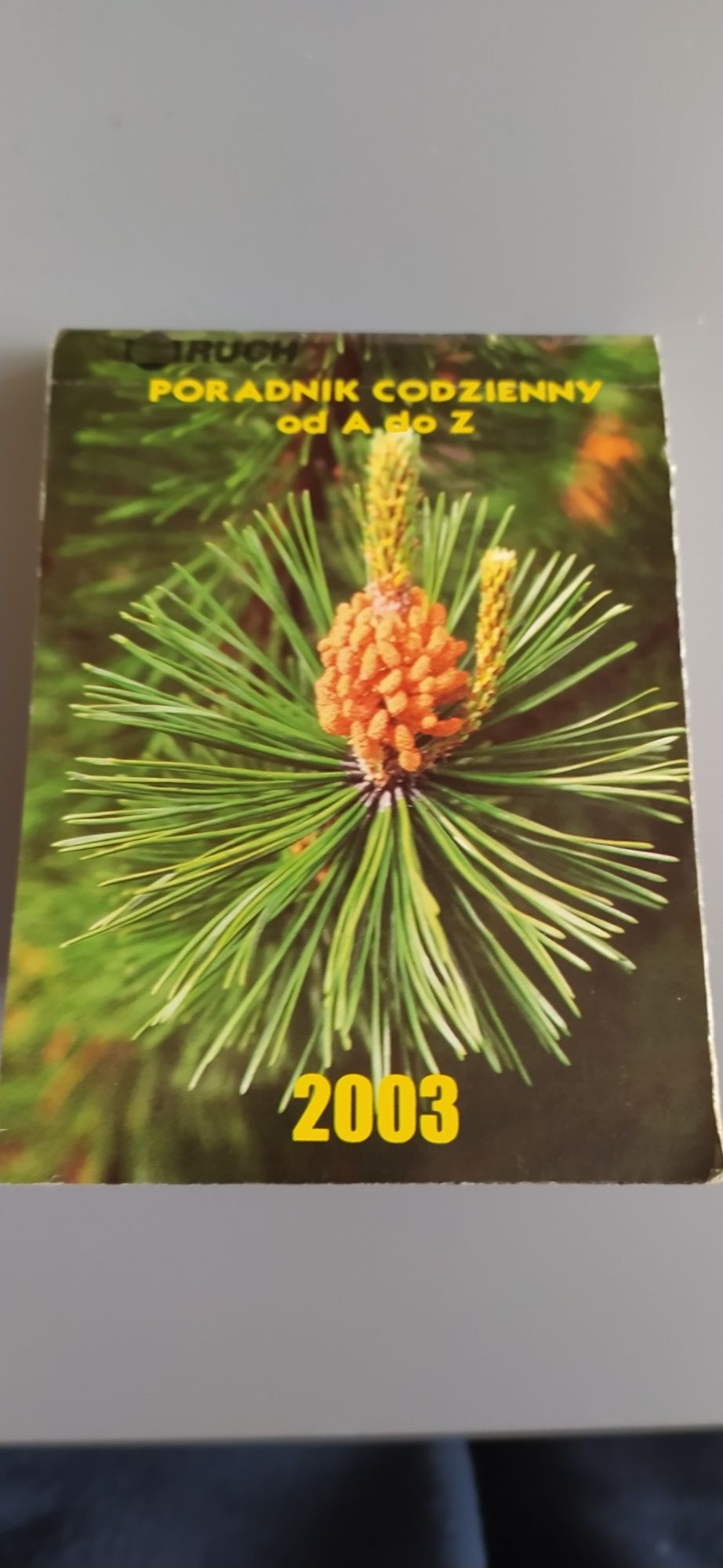 Kartka z kalendarza 2003 - na dziewiętnastkę(19)