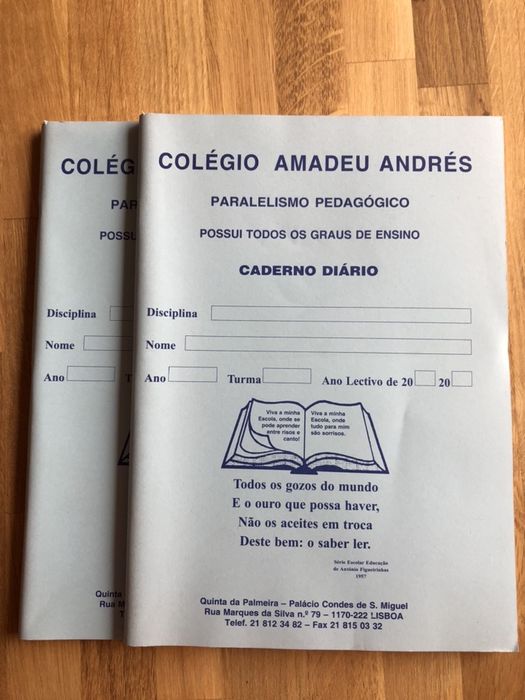 2 cadernos pautados colégio amadeu andrés (escola selecta)