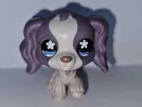 Oryginalny Littlest pet shop pies piesek spaniel #672 LPS