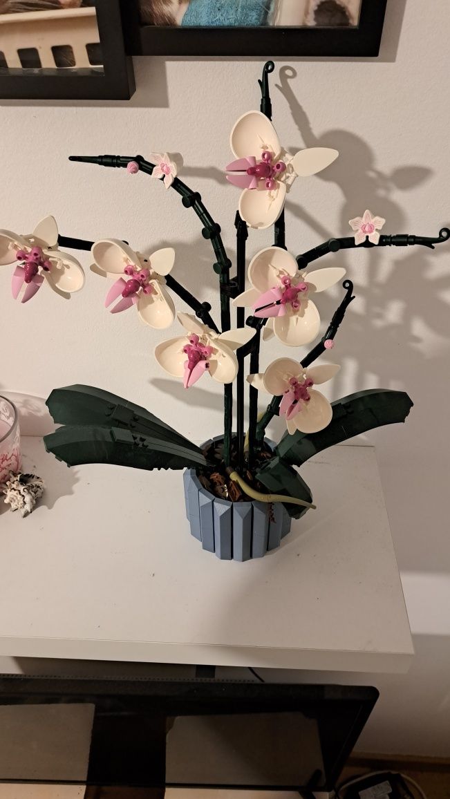 Lego Orchidea sprzedam