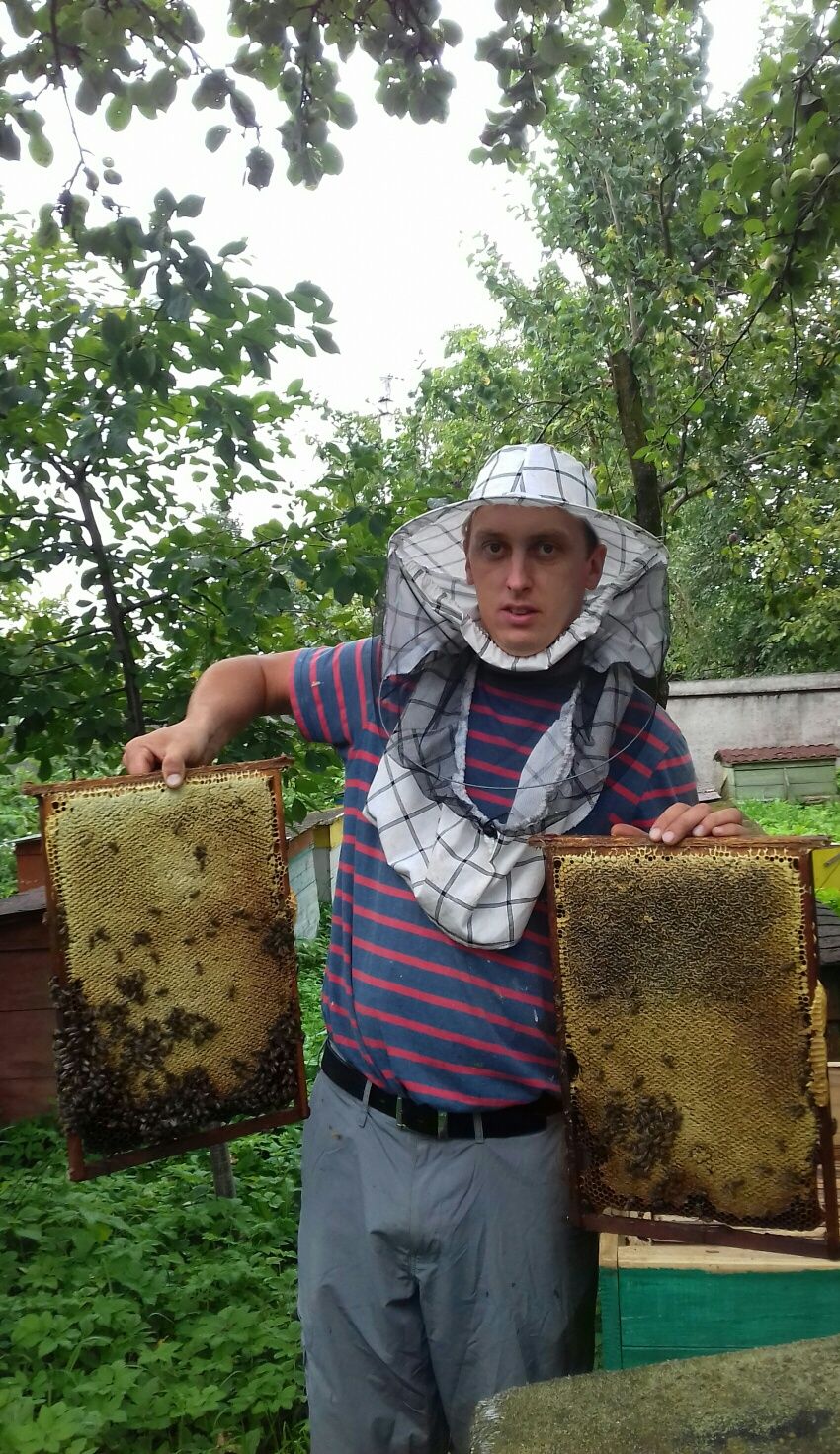 Продам мед натуральний
