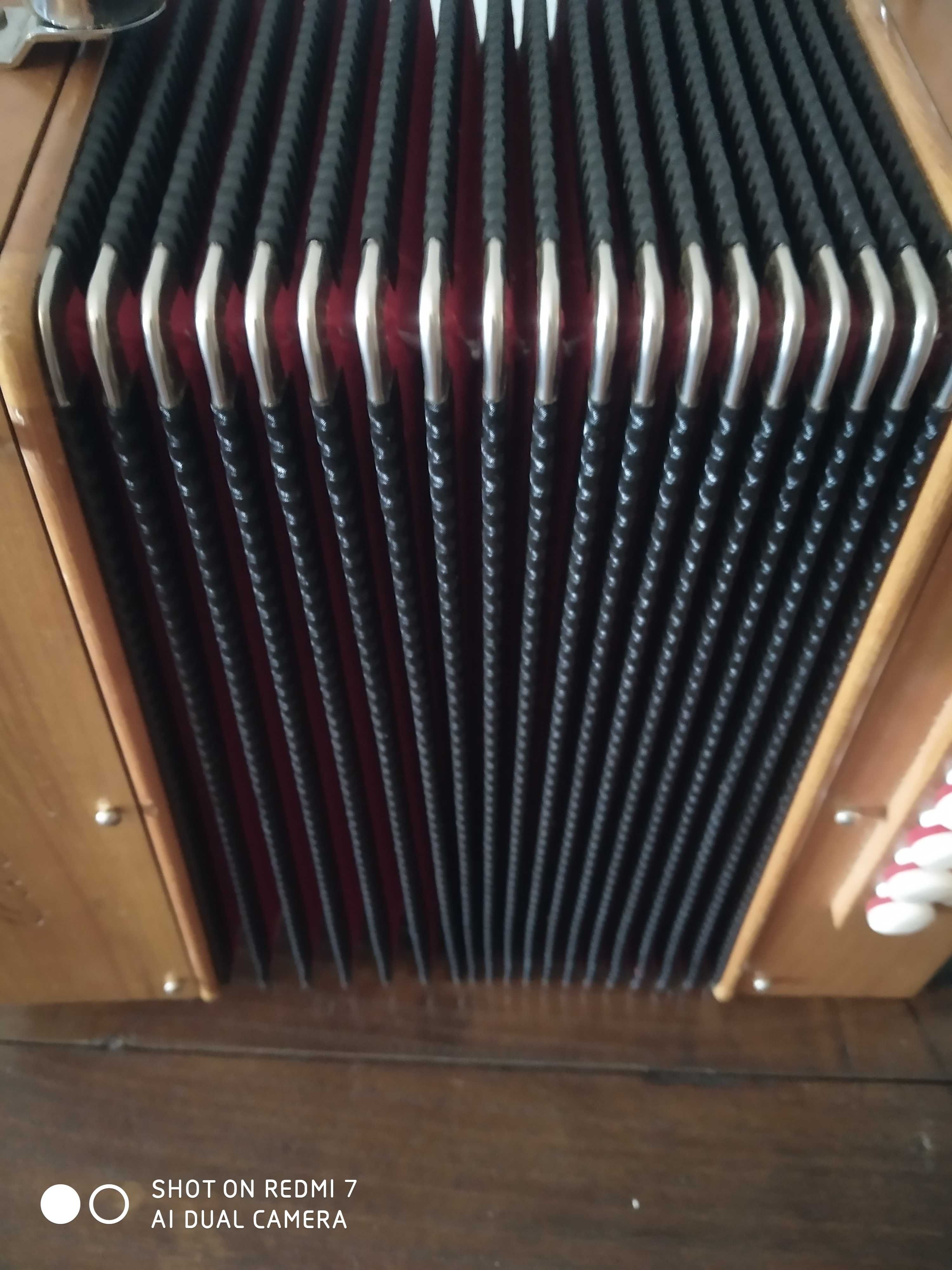 Concertina EXCELSIOR