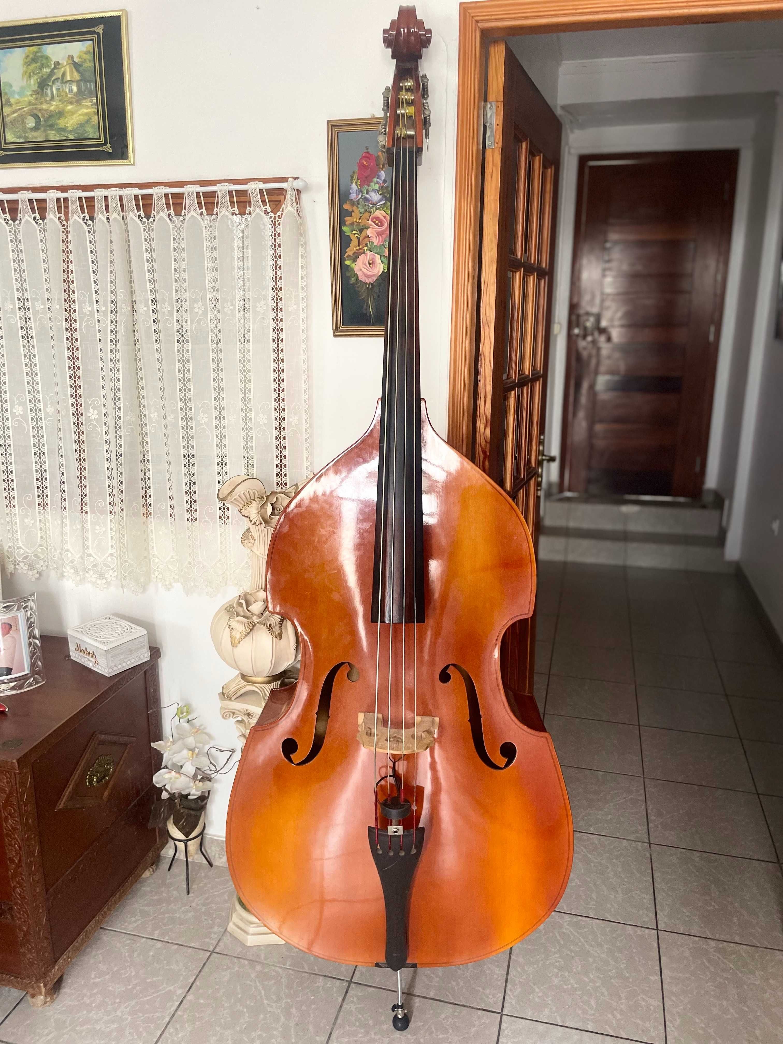 Contrabaixo Dvorak ( Strunal ) , 3/4 + extras ( excelente preco ) .