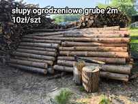 Słupy ogrodzeniowe grube 2m