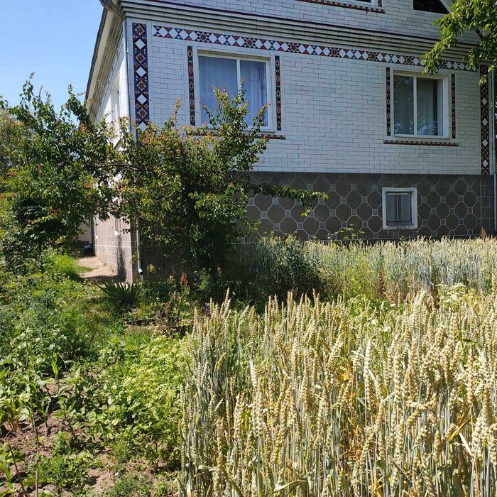Продається будинок м . Дунаївці будинок + літня кухня.