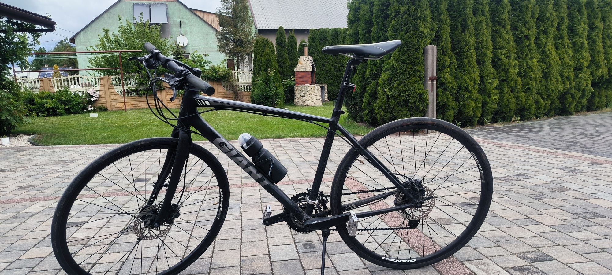 Rower Giant escape RX