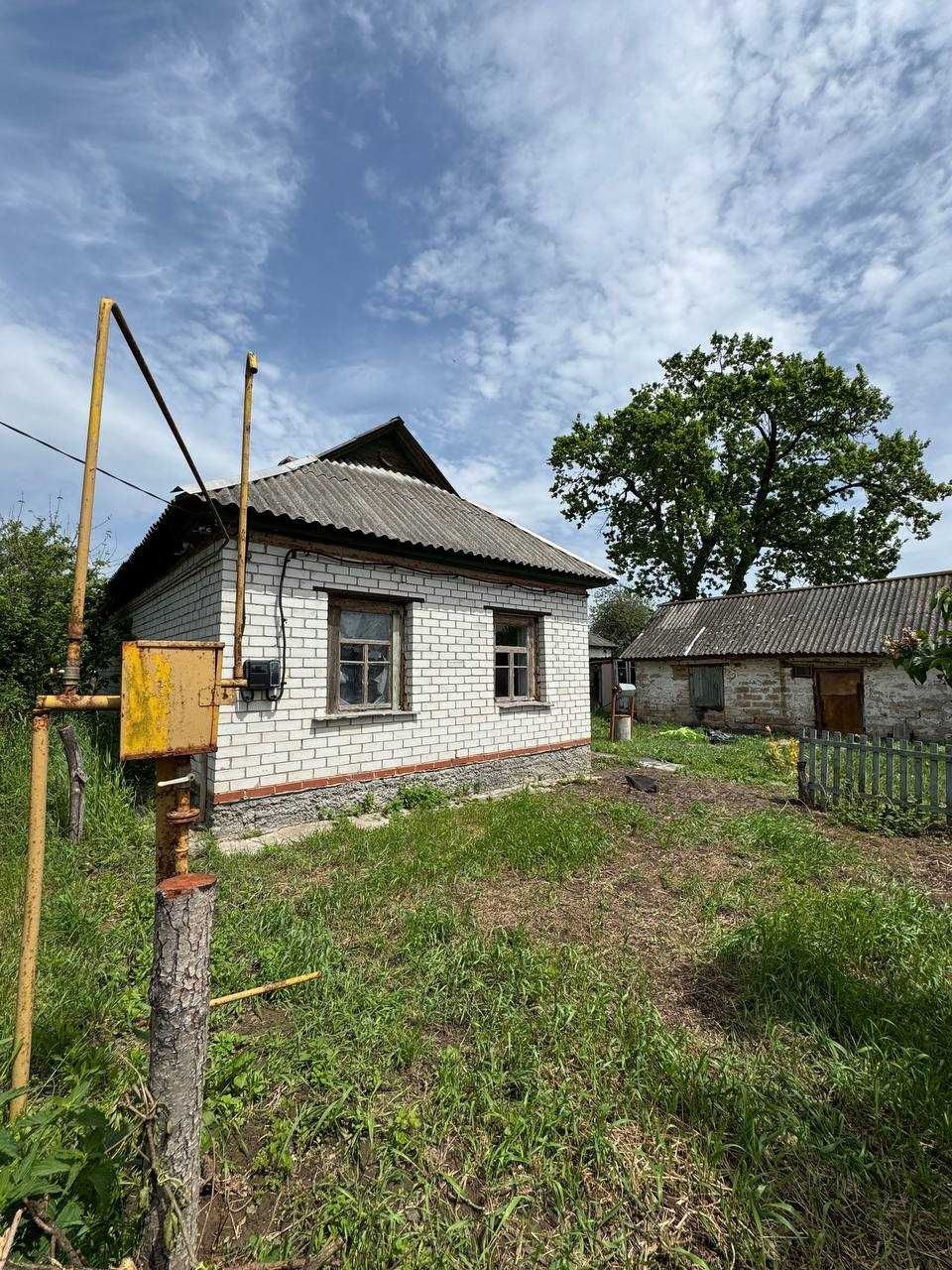 Будинок в Новому Білоусі