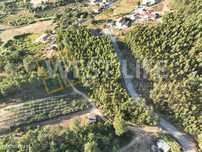 Terreno Rústico com 6598m2 - Bons acessos - Eucaliptal - Junto a in...