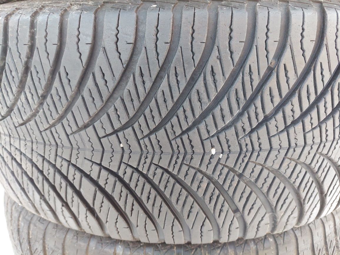 225/55r17 wielosezonowe gudyear