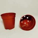 Vasos de Plastico 5,5 cm para Cactos e Suculentas