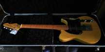 Guitarra Telecaster Peavey Generation Exp